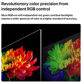 LG Micro RGB evo AI MRGB95, powered by RGB Primary Color Ultra, shows a flower image on the screen, with precisely controlled red, green, and blue light from distinct Micro RGB engines for balanced color and refined contrast.